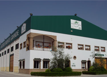 Aceite de Oliva Virgen Extra